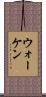 ウォーケン Scroll