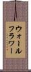 ウォールフラワー Scroll