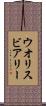 ウオリスビアリー Scroll