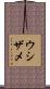 ウシザメ Scroll