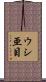 ウシ亜目 Scroll