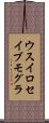 ウスイロセイブモグラ Scroll