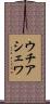 ウチアシェワ Scroll