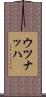 Uznach Scroll