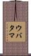 ウバタマ Scroll