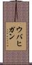 ウバヒガン Scroll