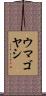 ウマゴヤシ Scroll