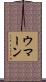 ウマーン Scroll