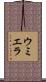 ウミエラ Scroll
