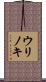 ウリノキ Scroll