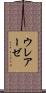 ウレアーゼ Scroll