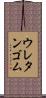 ウレタンゴム Scroll