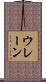 ウレーン Scroll
