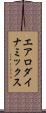 エアロダイナミックス Scroll