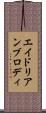エイドリアンブロディ Scroll