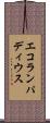 エコランパディウス Scroll