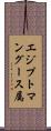 エジプトマングース属 Scroll