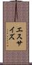 エスサイズ Scroll