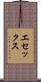 エセックス Scroll