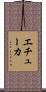 エチューカ Scroll