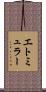 エトミュラー Scroll