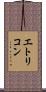 エトリコン Scroll