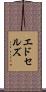 エドセルズ Scroll