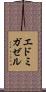 エドミガゼル Scroll