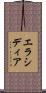 エラシディア Scroll