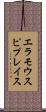 エラモウスピプレイス Scroll
