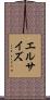 エルサイズ Scroll