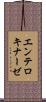 エンテロキナーゼ Scroll