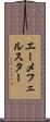 エーメフェルスター Scroll