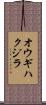 オウギハクジラ Scroll