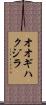オオギハクジラ Scroll