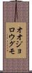 オオジョロウグモ Scroll