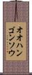 オオハンゴンソウ Scroll