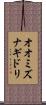 オオミズナギドリ Scroll