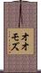 オオモズ Scroll