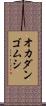 オカダンゴムシ Scroll