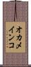 オカメインコ Scroll