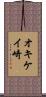 オキケイ崎 Scroll