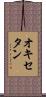 オキセタン Scroll