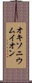 オキソニウムイオン Scroll