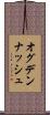 オグデンナッシュ Scroll