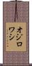 オジロワシ Scroll