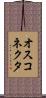 オスコネクタ Scroll