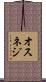 オスネジ Scroll