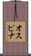 Ospina Scroll