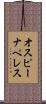 オスピーナペレス Scroll